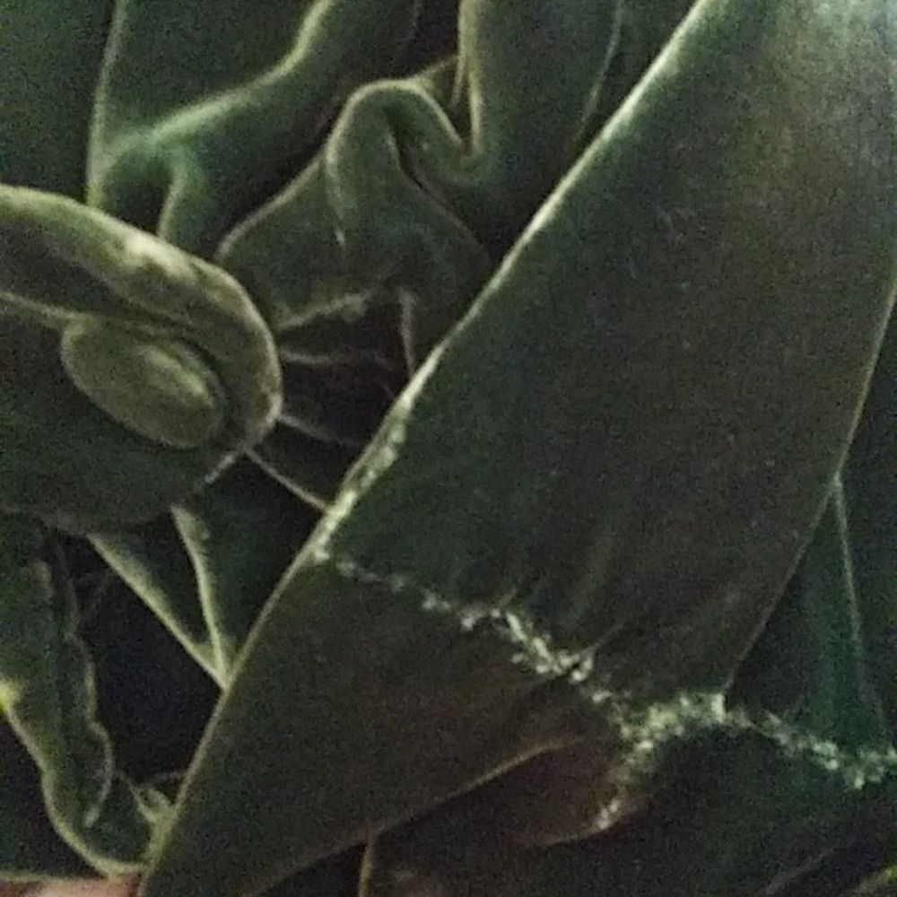 Antique Victorian fur collar green velvet silk coat vintage jacket Edwardian - Picture 7 of 16